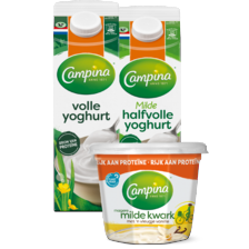 Campina kwark of yoghurt